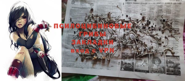 бошки Баксан