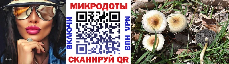 Псилоцибиновые грибы прущие грибы  omg рабочий сайт  Беломорск 